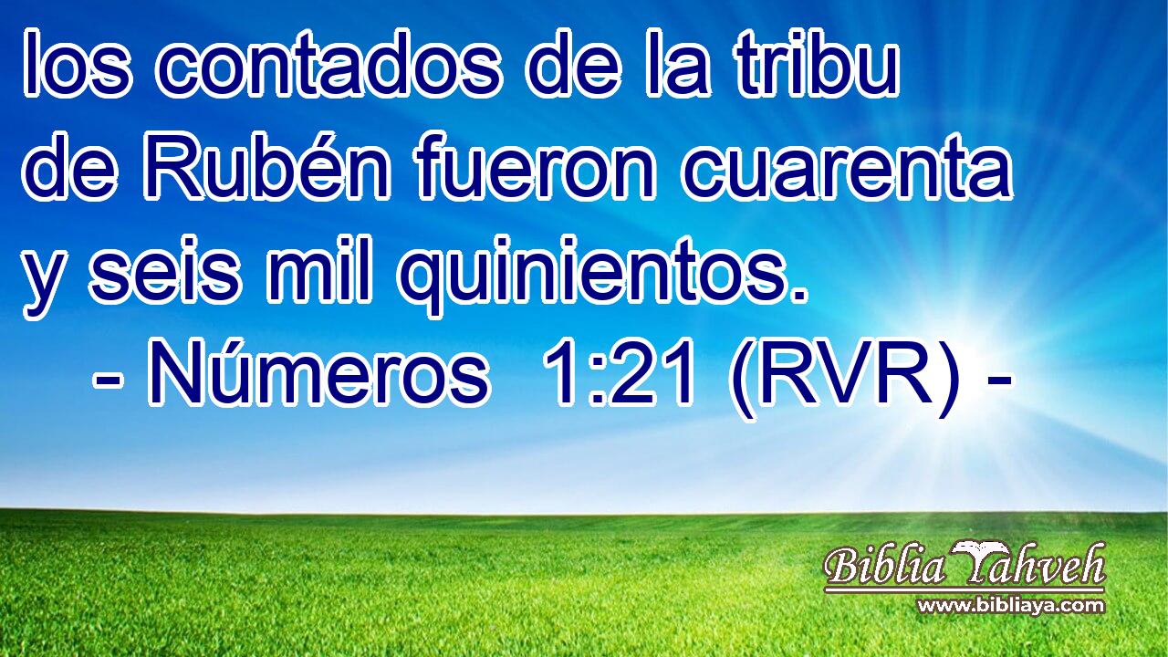 los contados de la tribu de Rubén fueron cuarenta y seis mil quinientos.