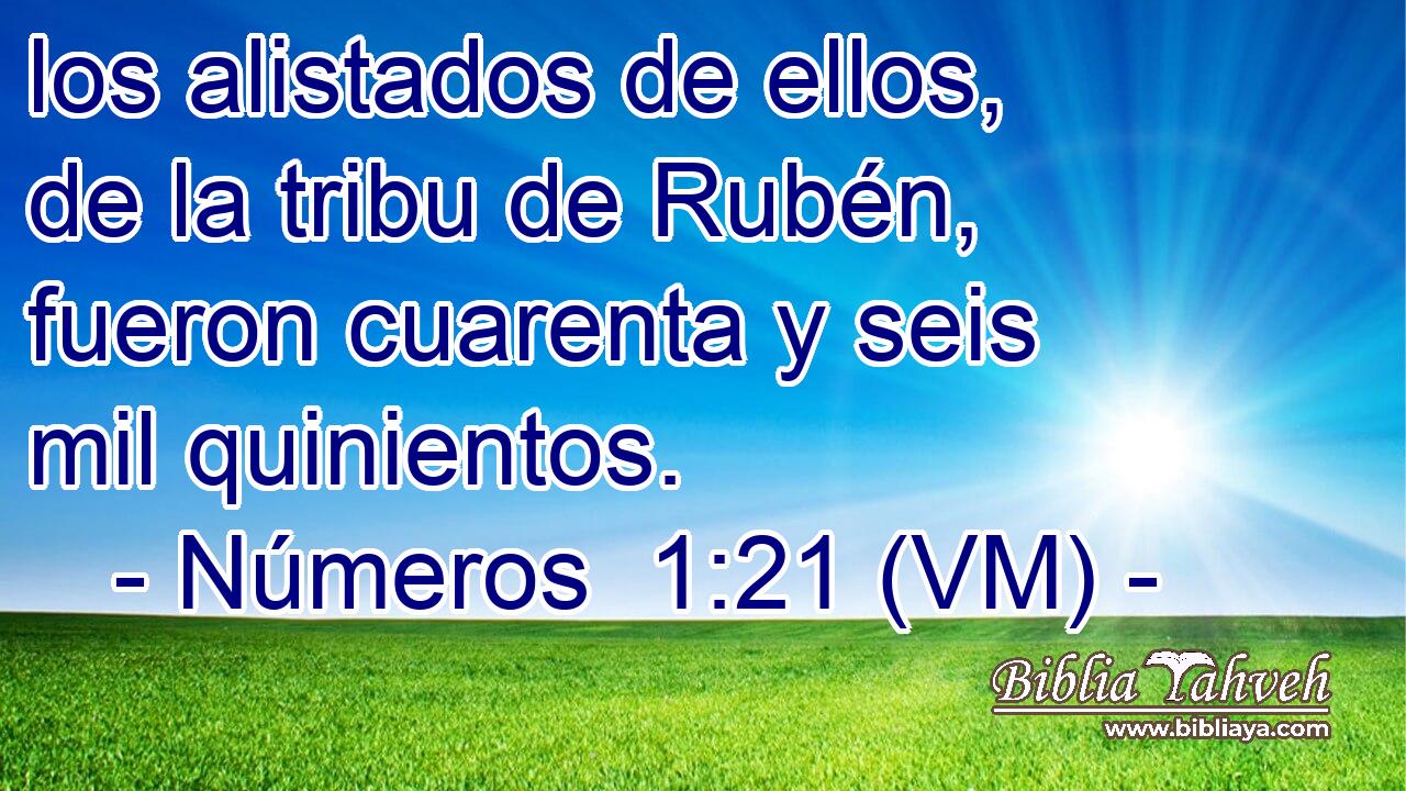  los alistados de ellos, de la tribu de Rubén, fueron cuarenta y seis mil quinientos. 