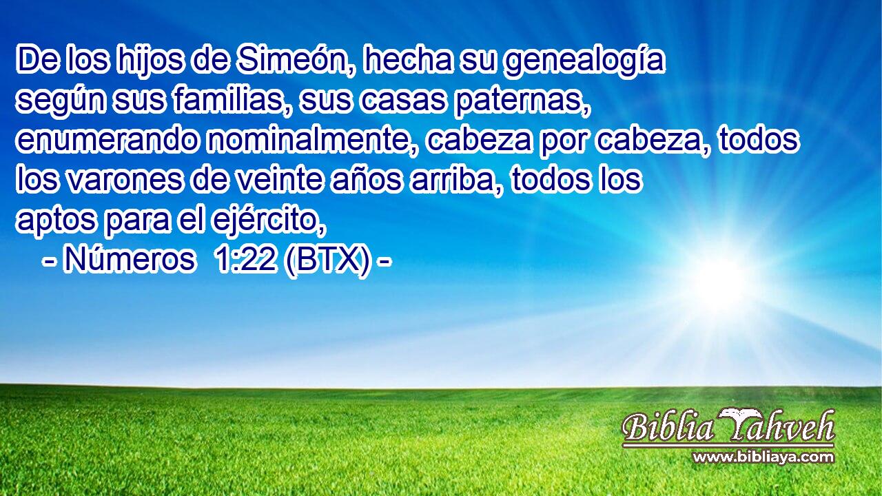 De los hijos de Simeón, hecha su genealogía según sus familias, sus casas paternas, enumerando nominalmente, cabeza por cabeza, todos los varones de veinte años arriba, todos los aptos para el ejército,
