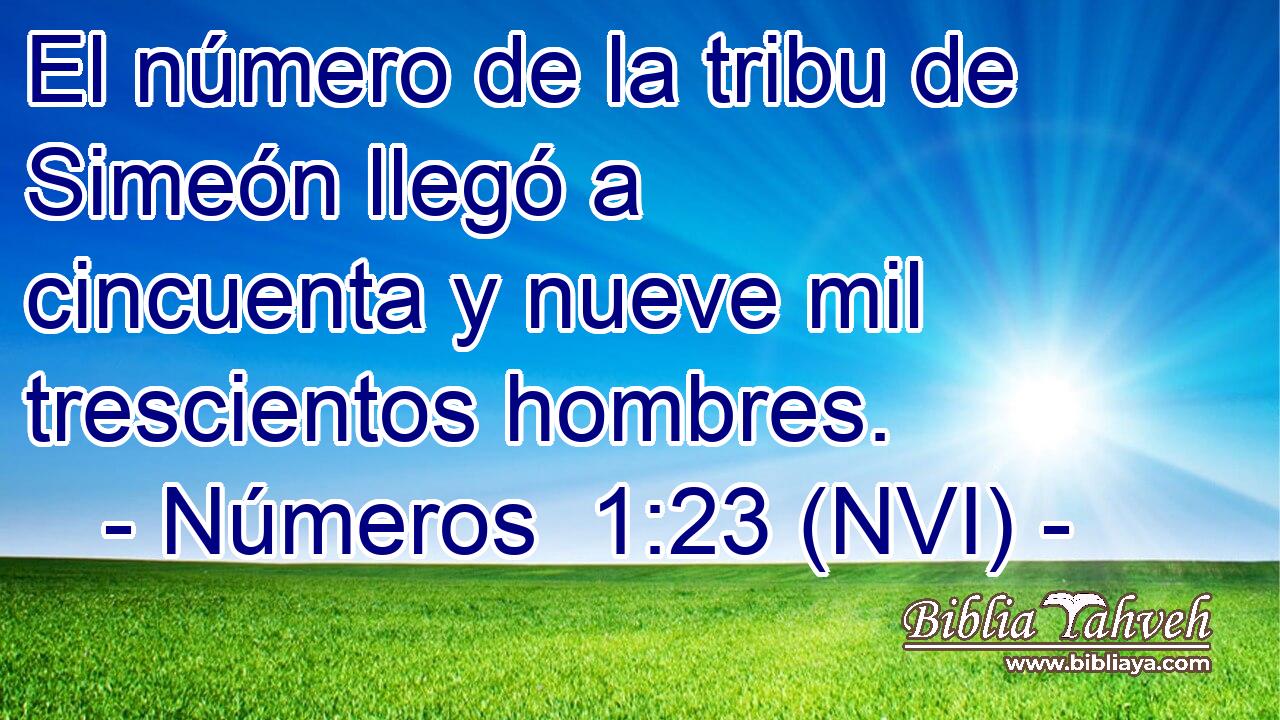  El número de la tribu de Simeón llegó a cincuenta y nueve mil trescientos hombres. 