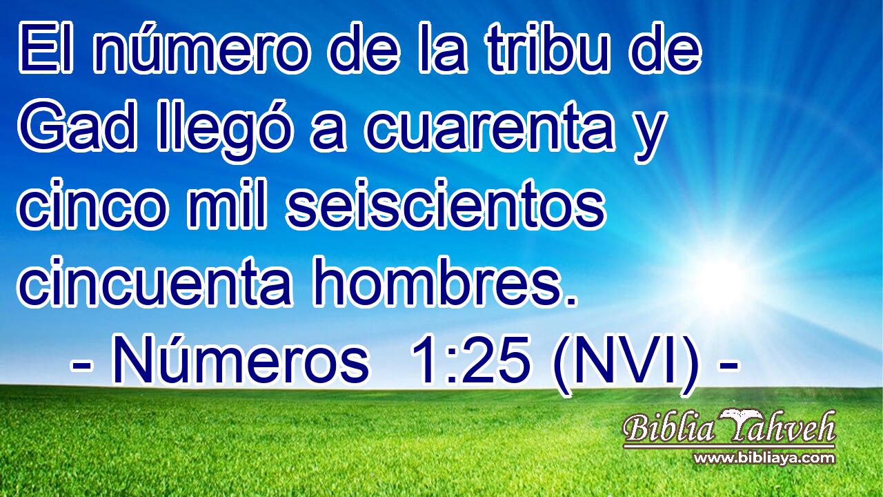  El número de la tribu de Gad llegó a cuarenta y cinco mil seiscientos cincuenta hombres. 
