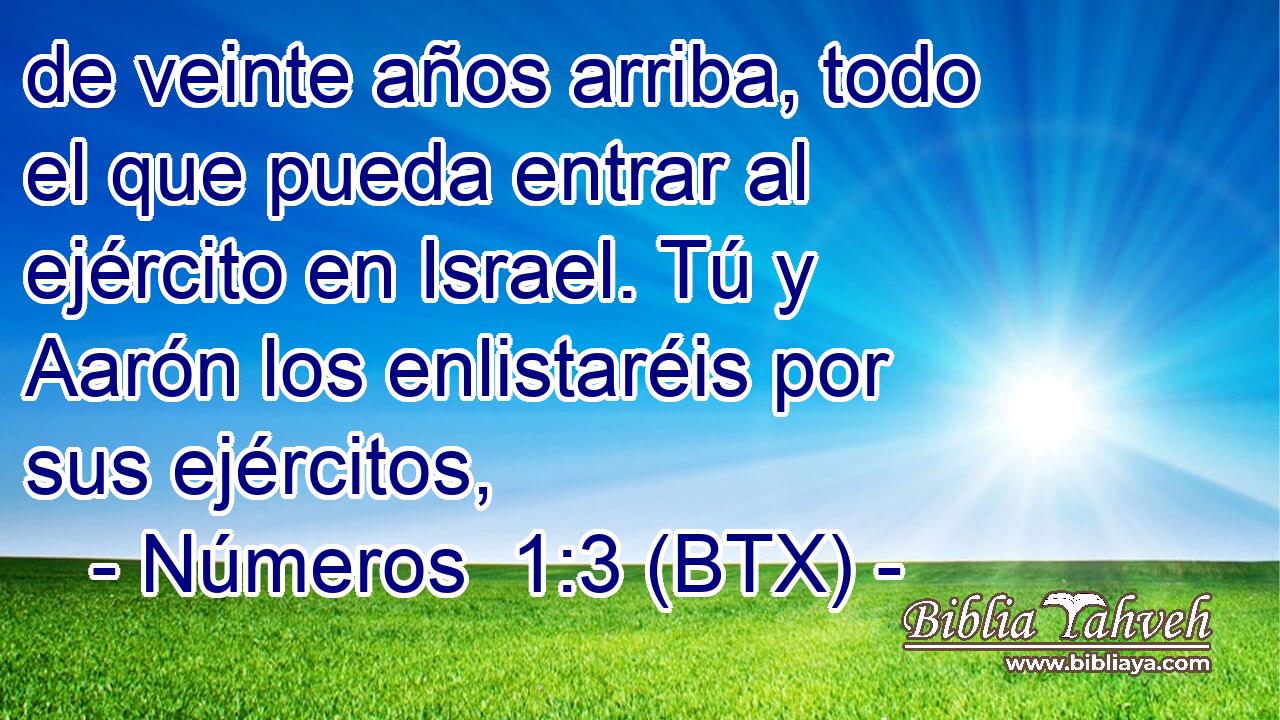 de veinte años arriba, todo el que pueda entrar al ejército en Israel. Tú y Aarón los enlistaréis por sus ejércitos,