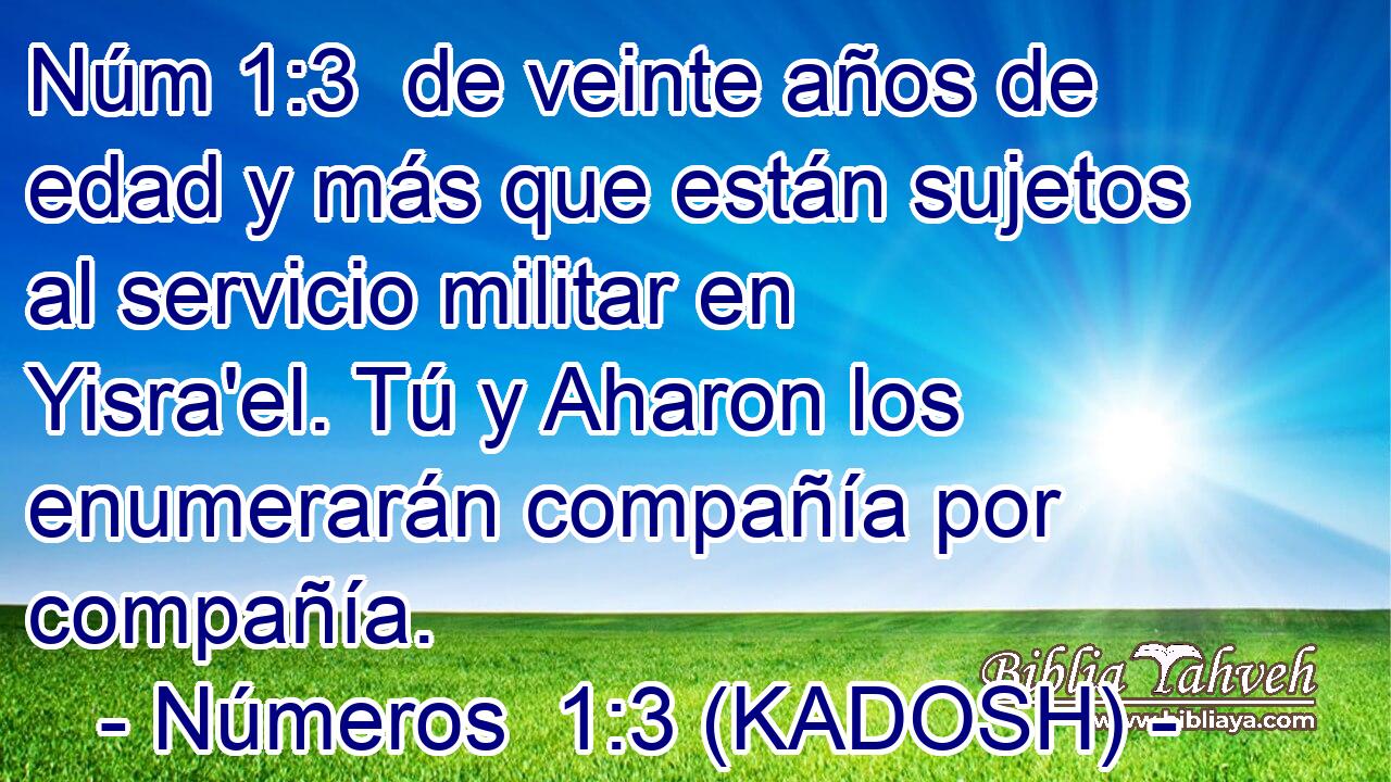  de veinte años de edad y más que están sujetos al servicio militar en Yisra'el. Tú y Aharon los enumerarán compañía por compañía. 