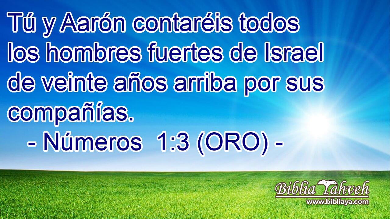  Tú y Aarón contaréis todos los hombres fuertes de Israel de veinte años arriba por sus compañías. 