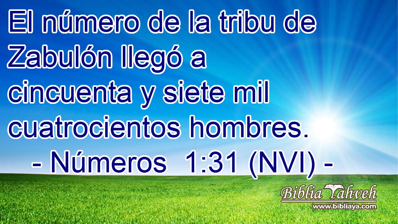  El número de la tribu de Zabulón llegó a cincuenta y siete mil cuatrocientos hombres. 