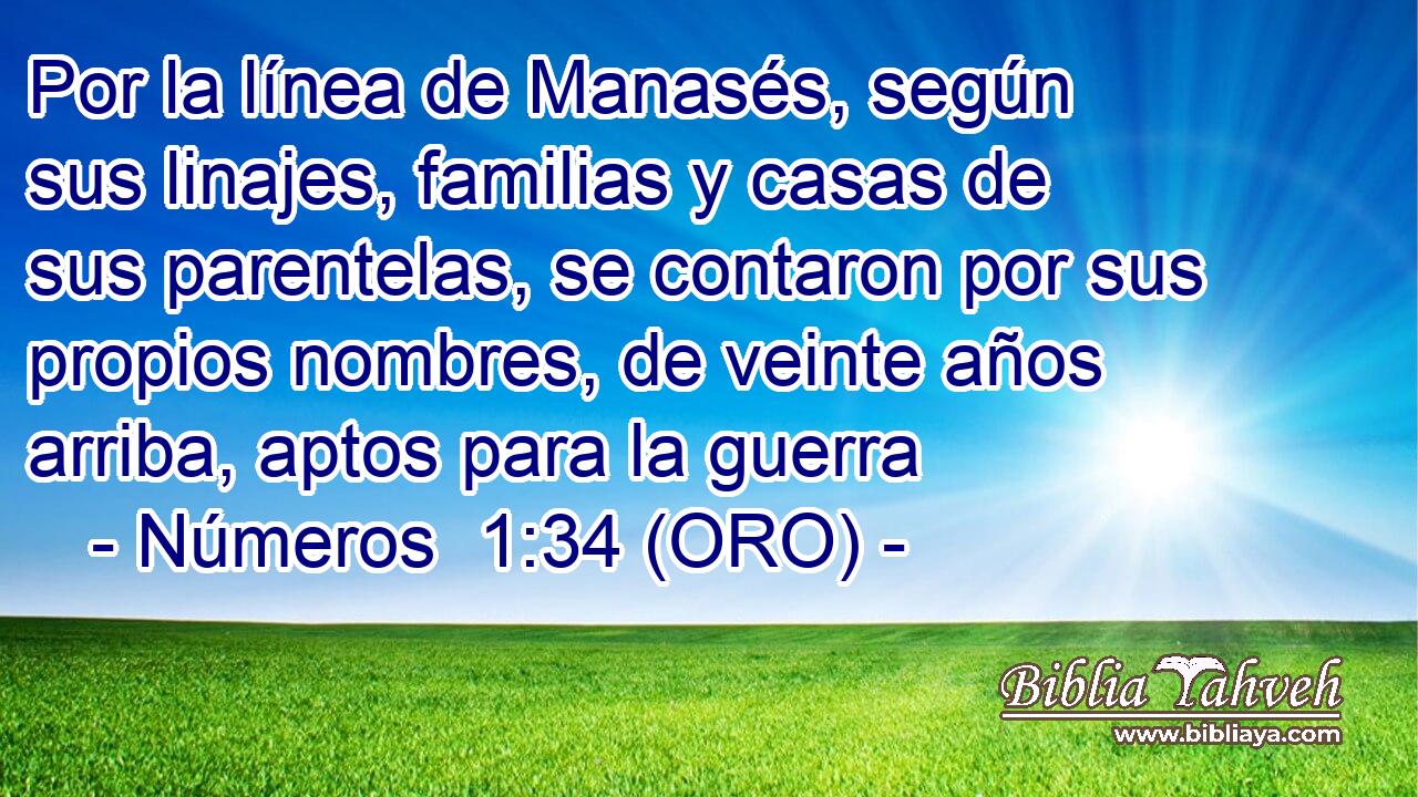  Por la línea de Manasés, según sus linajes, familias y casas de sus parentelas, se contaron por sus propios nombres, de veinte años arriba, aptos para la guerra 