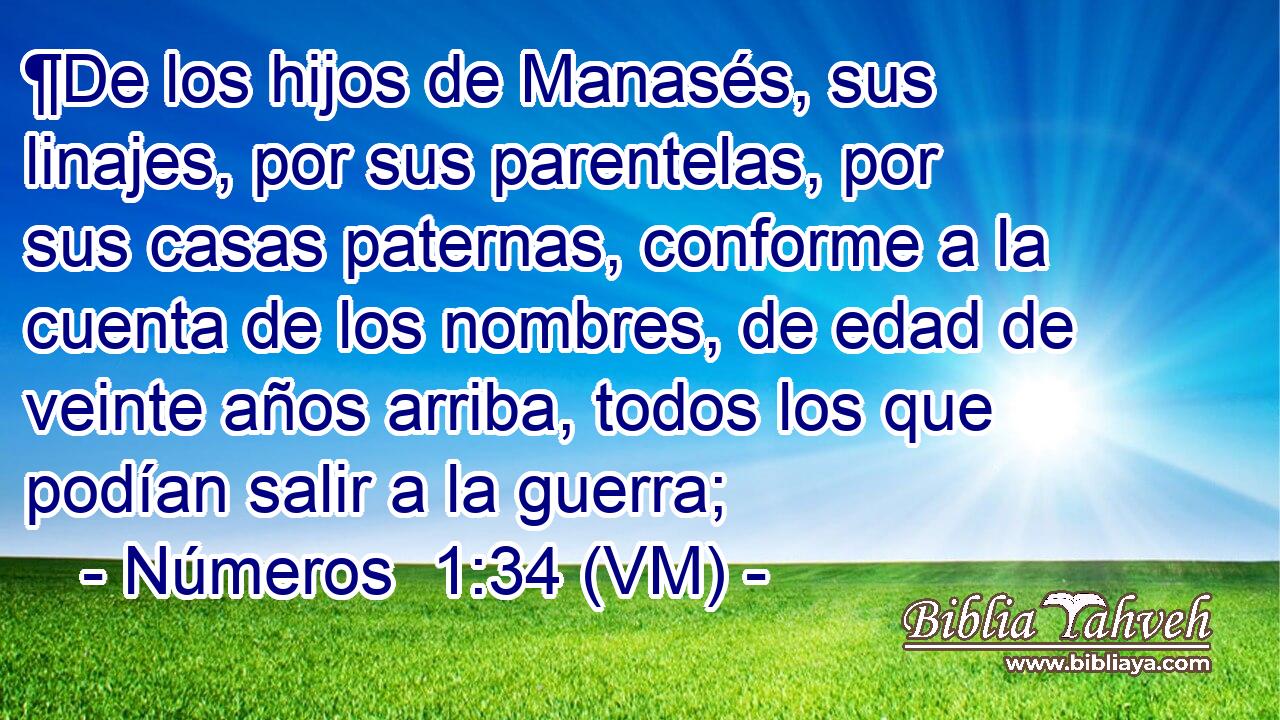  ¶De los hijos de Manasés, sus linajes, por sus parentelas, por sus casas paternas, conforme a la cuenta de los nombres, de edad de veinte años arriba, todos los que podían salir a la guerra; 