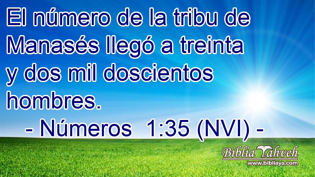  El número de la tribu de Manasés llegó a treinta y dos mil doscientos hombres. 