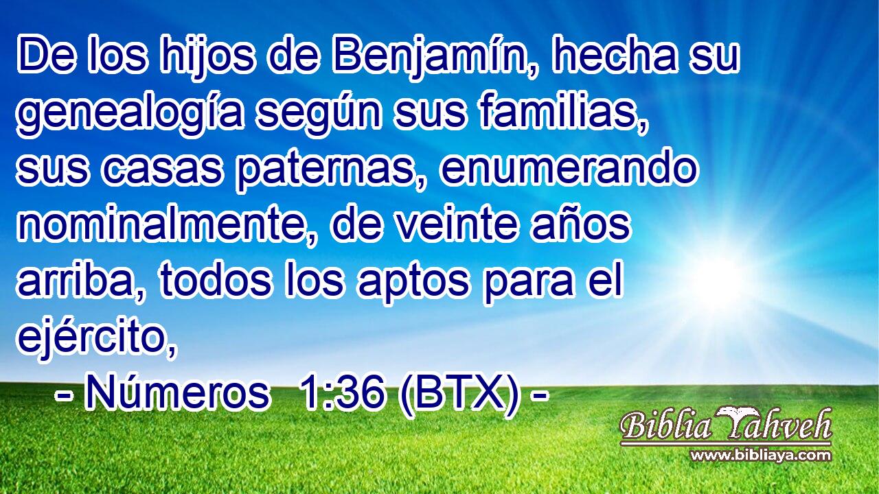 De los hijos de Benjamín, hecha su genealogía según sus familias, sus casas paternas, enumerando nominalmente, de veinte años arriba, todos los aptos para el ejército,