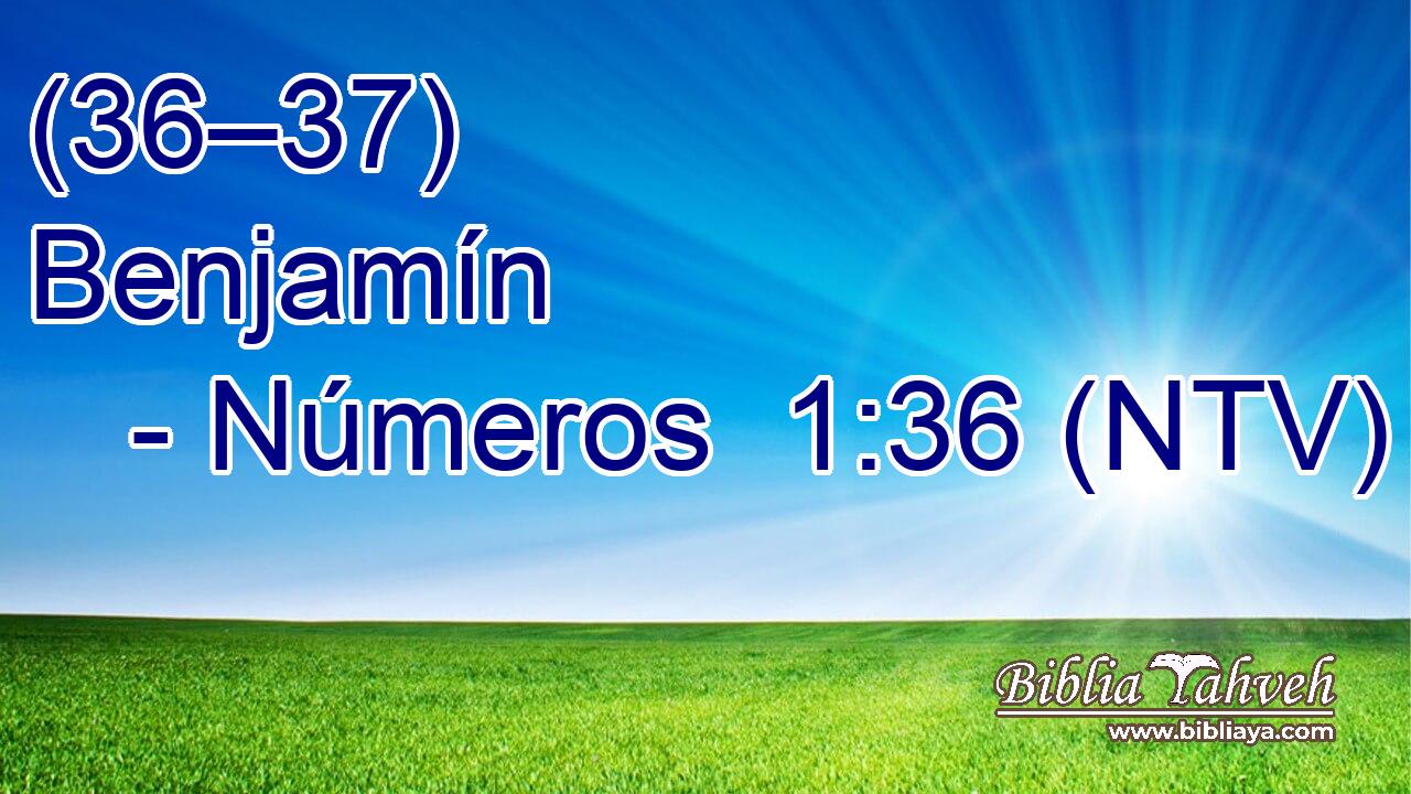 (36–37) Benjamín