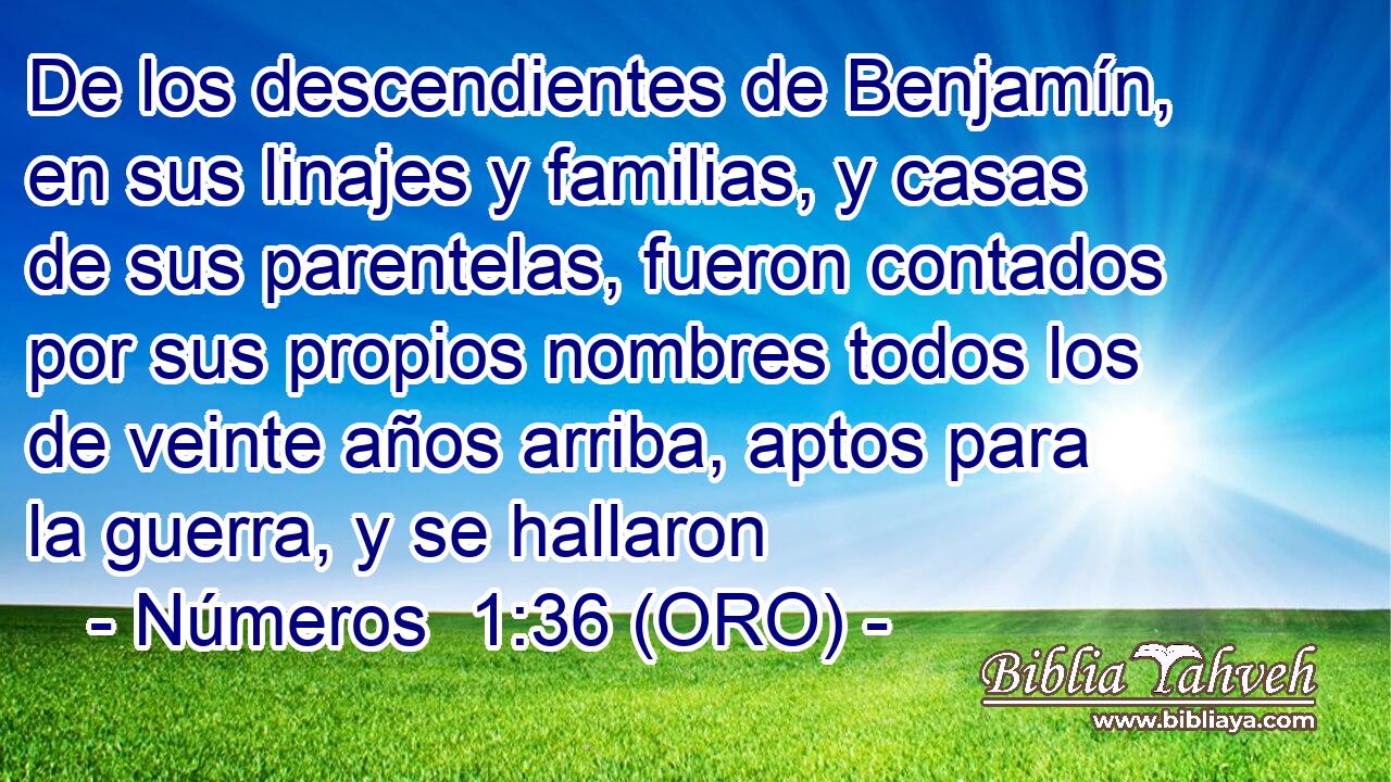  De los descendientes de Benjamín, en sus linajes y familias, y casas de sus parentelas, fueron contados por sus propios nombres todos los de veinte años arriba, aptos para la guerra, y se hallaron 
