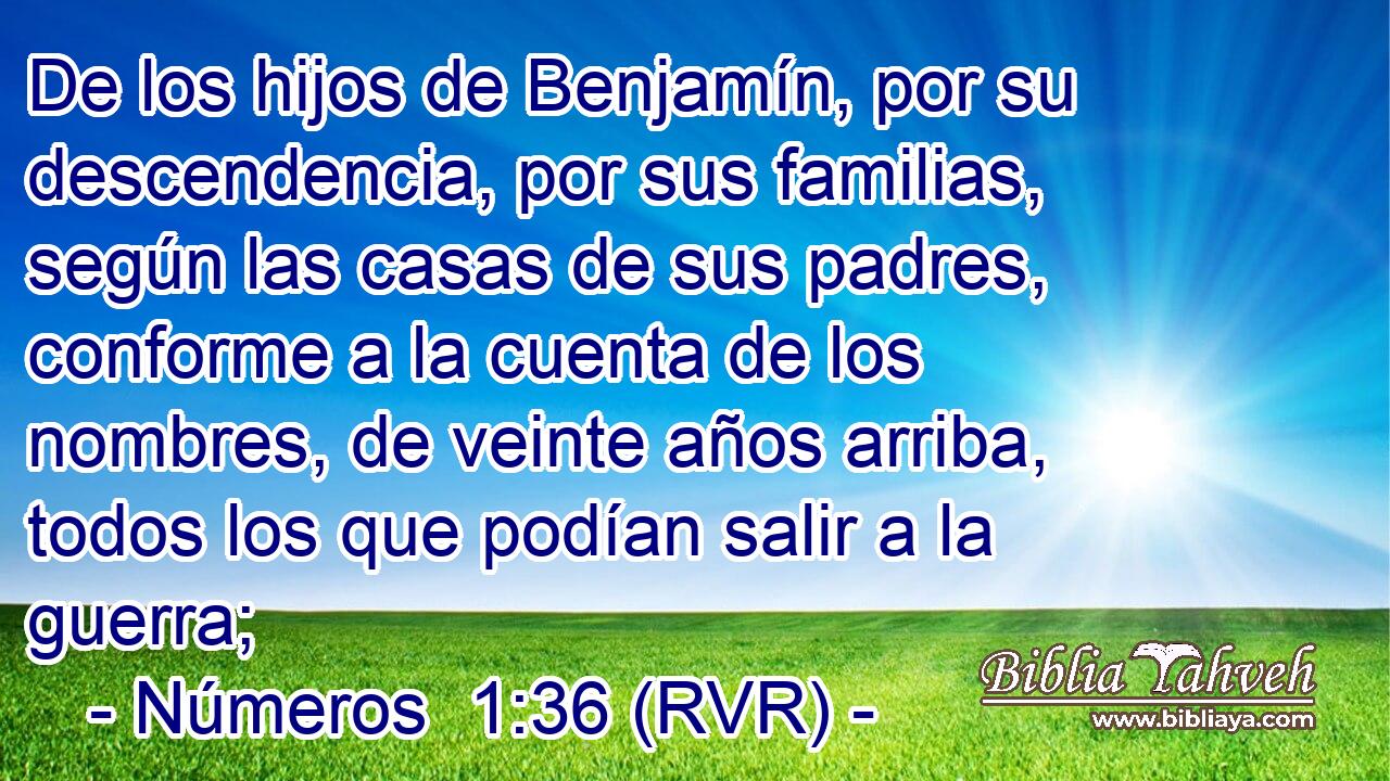 De los hijos de Benjamín, por su descendencia, por sus familias, según las casas de sus padres, conforme a la cuenta de los nombres, de veinte años arriba, todos los que podían salir a la guerra;