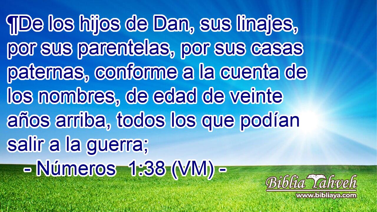  ¶De los hijos de Dan, sus linajes, por sus parentelas, por sus casas paternas, conforme a la cuenta de los nombres, de edad de veinte años arriba, todos los que podían salir a la guerra; 