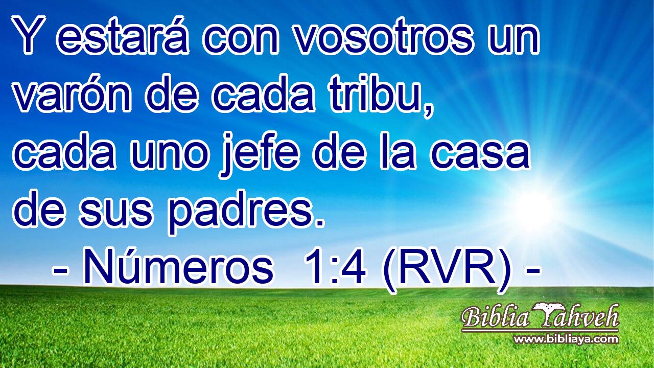 Y estará con vosotros un varón de cada tribu, cada uno jefe de la casa de sus padres.
