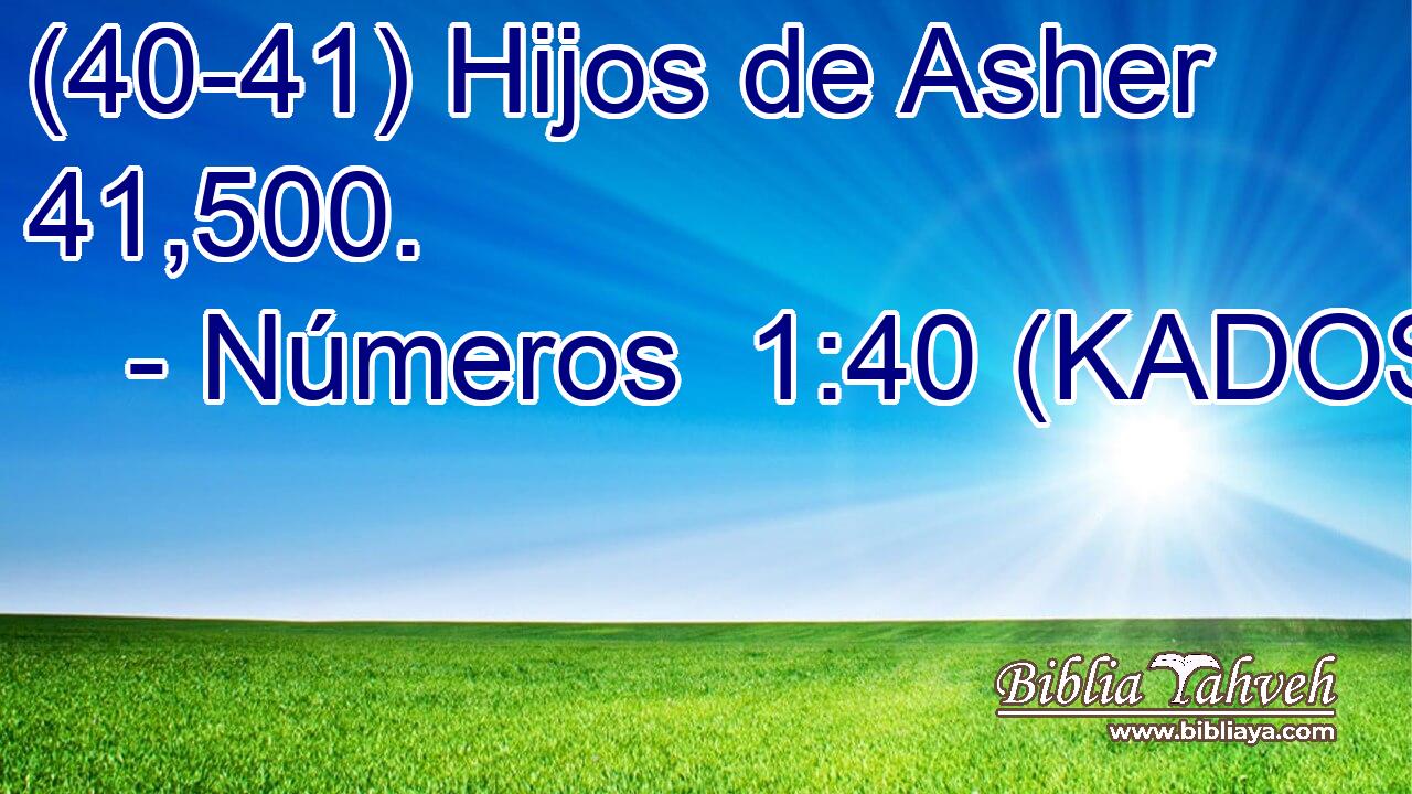  (40-41) Hijos de Asher 41,500. 