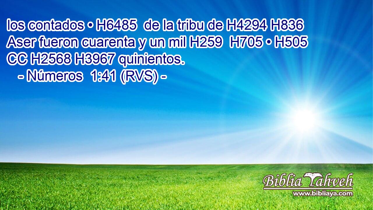 los contados • H6485  de la tribu de H4294 H836 Aser fueron cuarenta y un mil H259  H705 • H505 CC H2568 H3967 quinientos. 