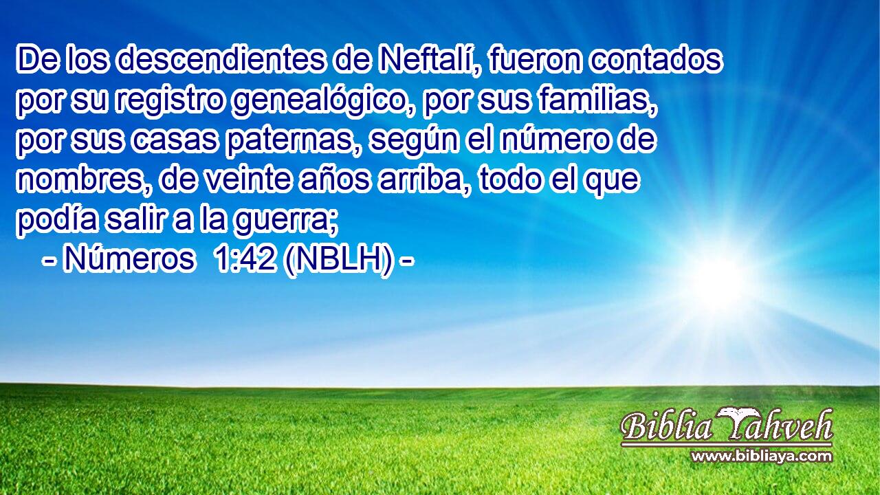  De los descendientes de Neftalí, fueron contados por su registro genealógico, por sus familias, por sus casas paternas, según el número de nombres, de veinte años arriba, todo el que podía salir a la guerra; 