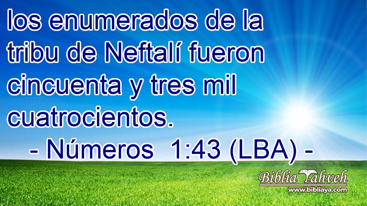 los enumerados de la tribu de Neftalí fueron cincuenta y tres mil cuatrocientos.