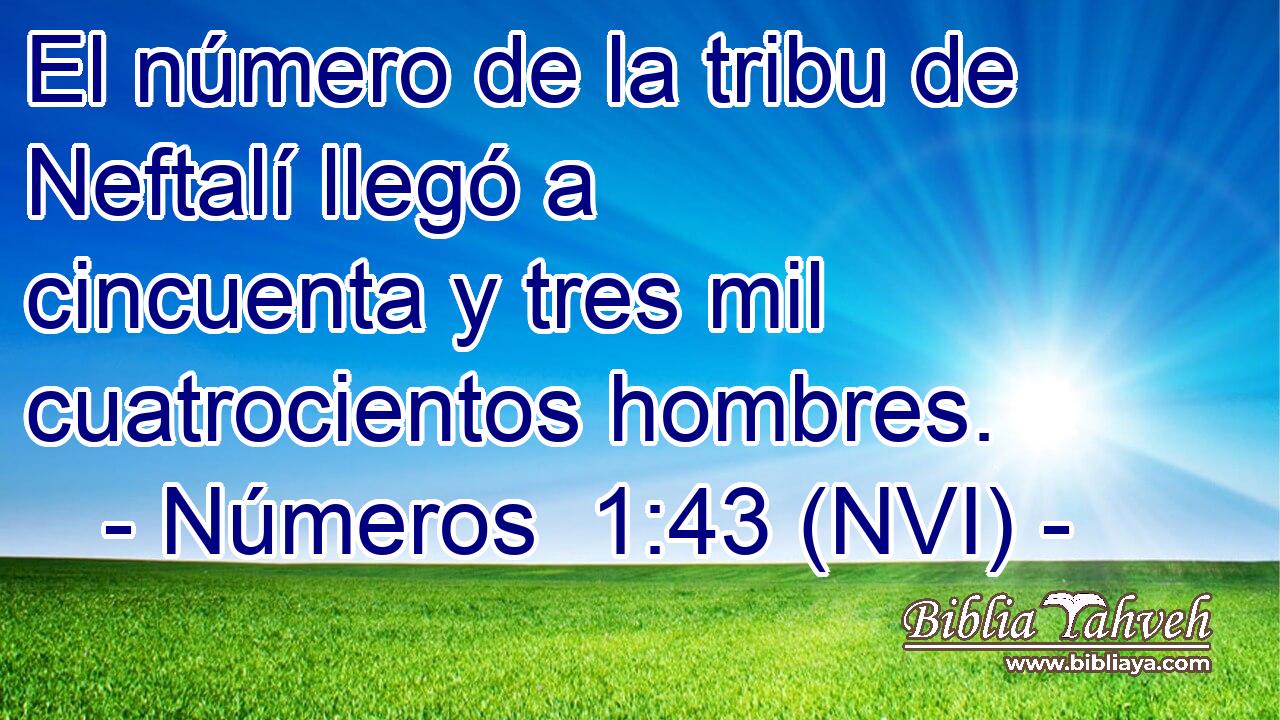  El número de la tribu de Neftalí llegó a cincuenta y tres mil cuatrocientos hombres. 