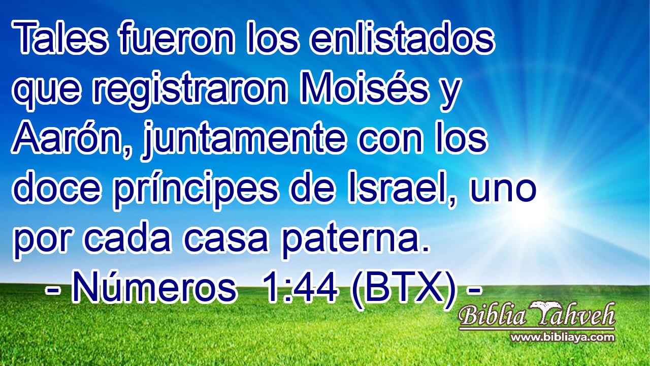 Tales fueron los enlistados que registraron Moisés y Aarón, juntamente con los doce príncipes de Israel, uno por cada casa paterna.