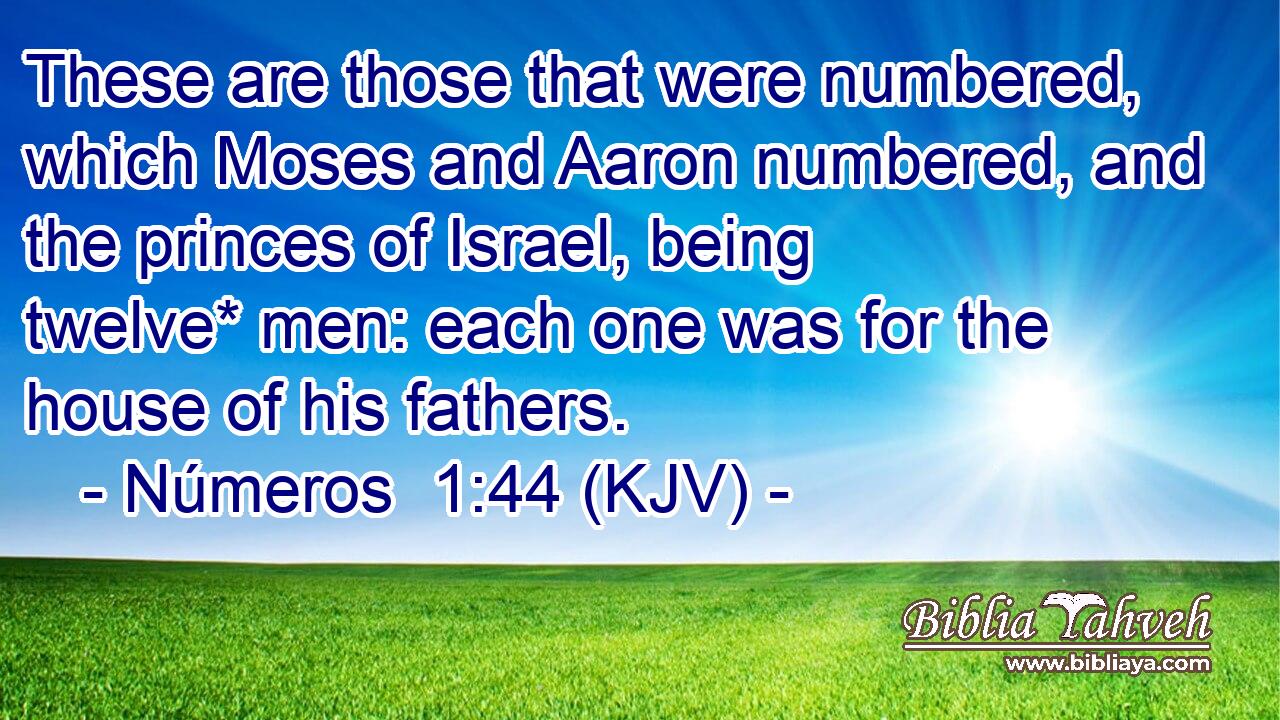These are those that were numbered, which Moses and Aaron numbered, and the princes of Israel, being twelve* men: each one was for the house of his fathers.