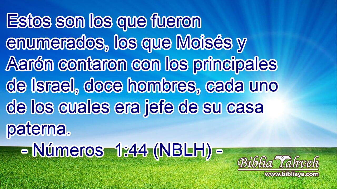  Estos son los que fueron enumerados, los que Moisés y Aarón contaron con los principales de Israel, doce hombres, cada uno de los cuales era jefe de su casa paterna. 
