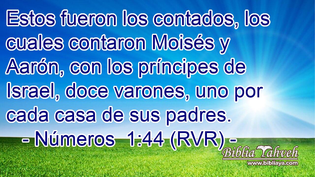 Estos fueron los contados, los cuales contaron Moisés y Aarón, con los príncipes de Israel, doce varones, uno por cada casa de sus padres.