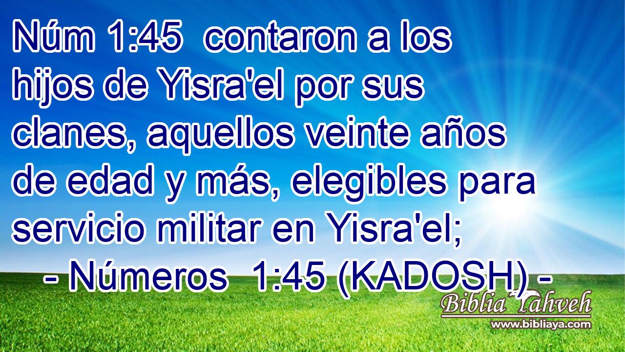  contaron a los hijos de Yisra'el por sus clanes, aquellos veinte años de edad y más, elegibles para servicio militar en Yisra'el; 