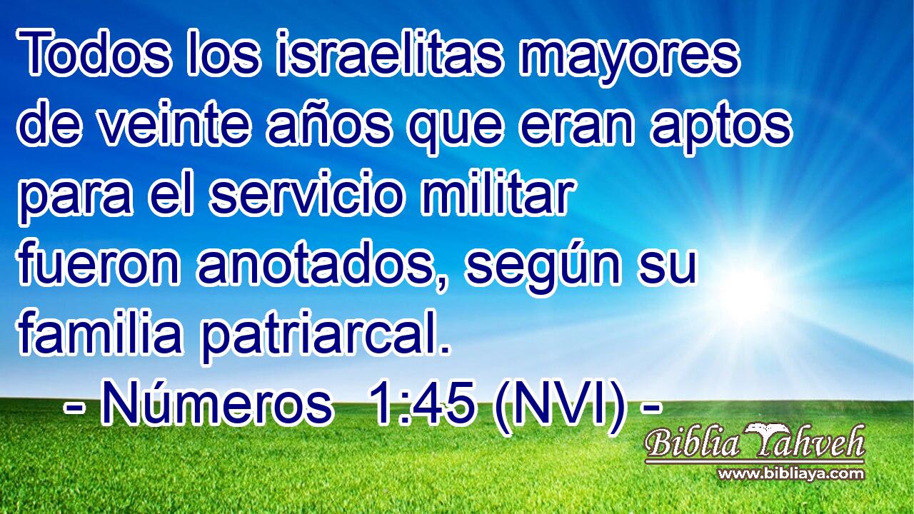  Todos los israelitas mayores de veinte años que eran aptos para el servicio militar fueron anotados, según su familia patriarcal. 