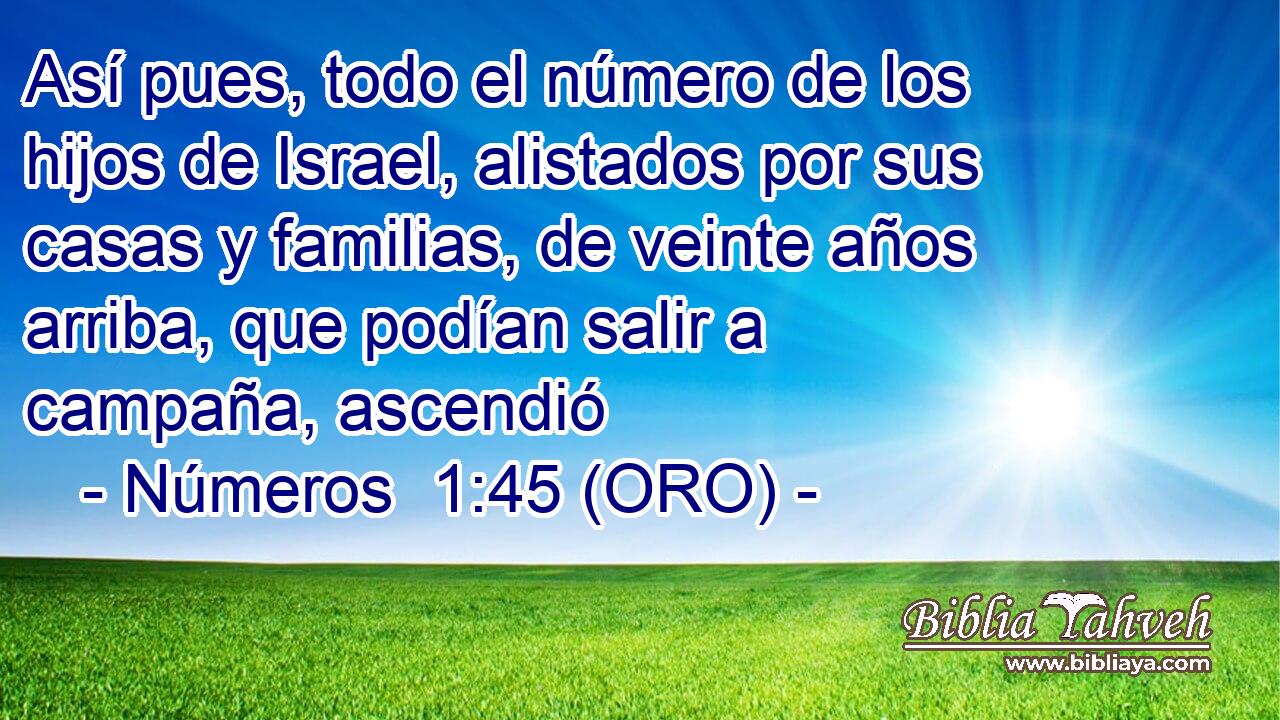  Así pues, todo el número de los hijos de Israel, alistados por sus casas y familias, de veinte años arriba, que podían salir a campaña, ascendió 