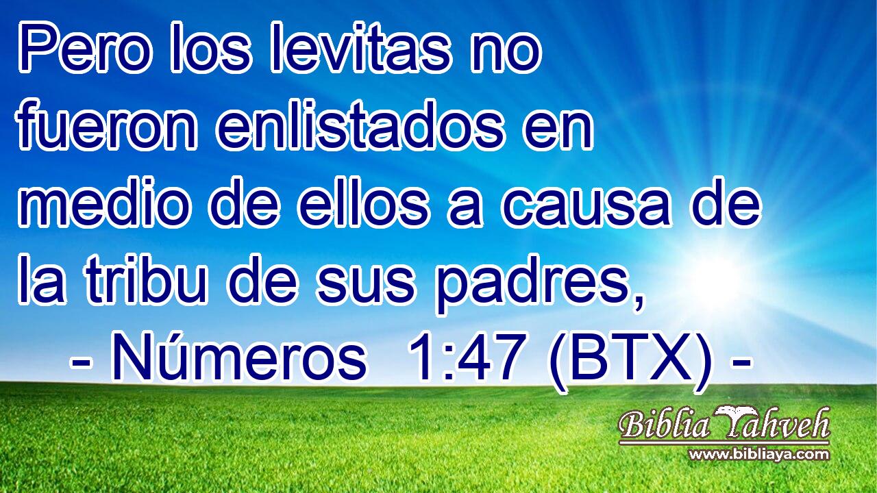 Pero los levitas no fueron enlistados en medio de ellos a causa de la tribu de sus padres,