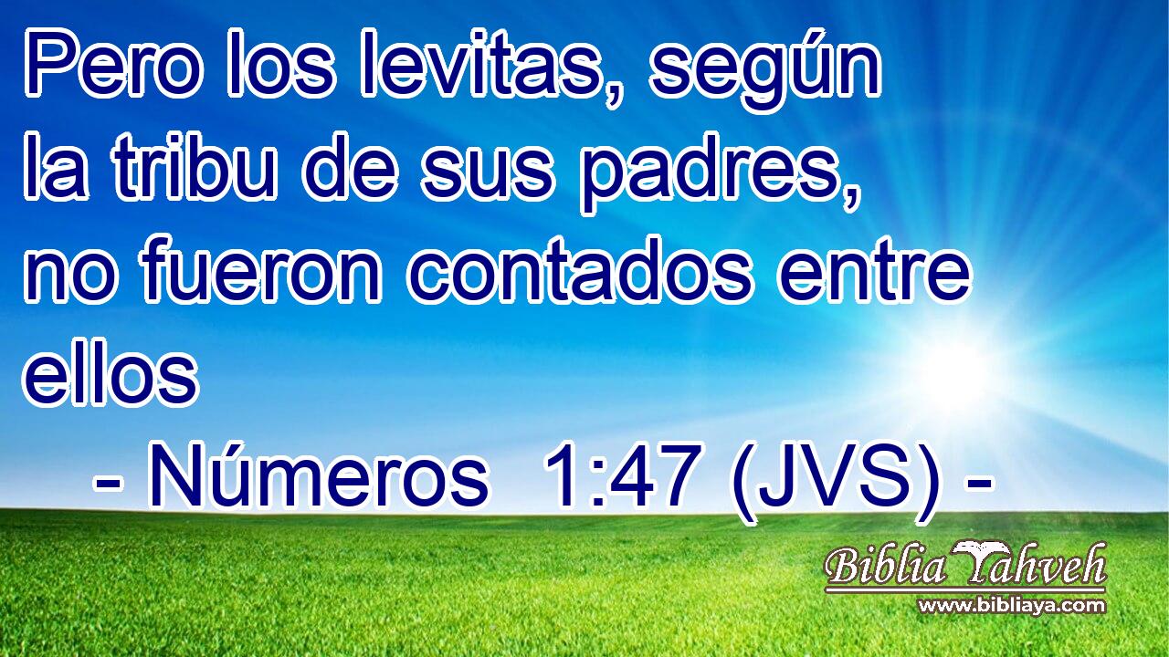 Pero los levitas, según la tribu de sus padres, no fueron contados entre ellos