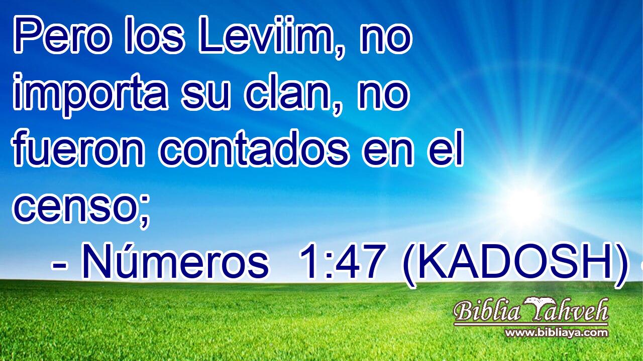  Pero los Leviim, no importa su clan, no fueron contados en el censo; 