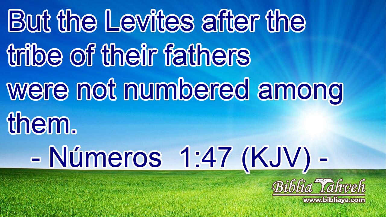 But the Levites after the tribe of their fathers were not numbered among them.