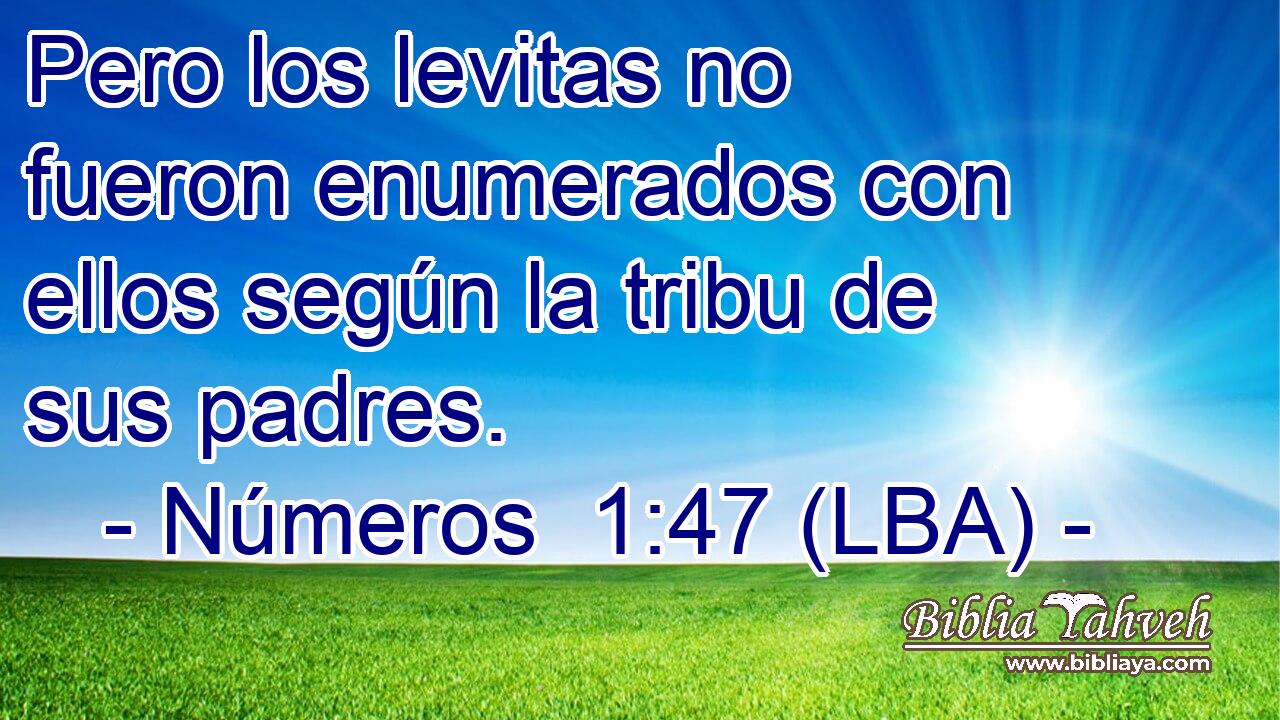 Pero los levitas no fueron enumerados con ellos según la tribu de sus padres.