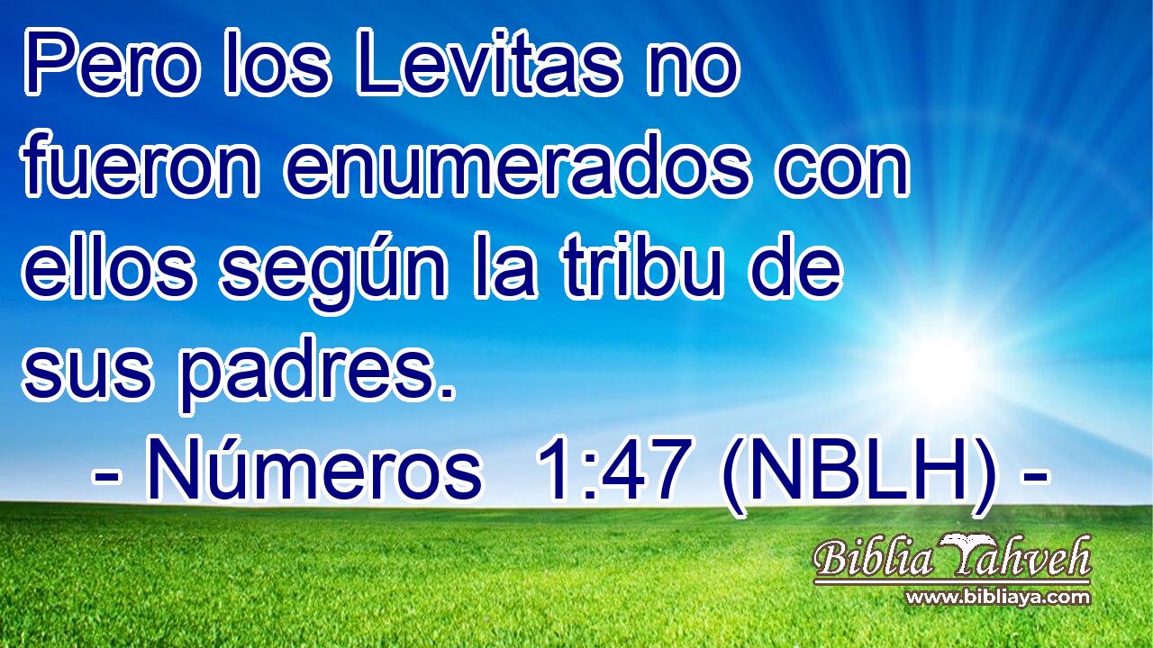  Pero los Levitas no fueron enumerados con ellos según la tribu de sus padres. 