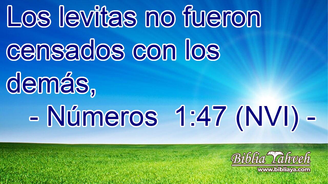  Los levitas no fueron censados con los demás, 