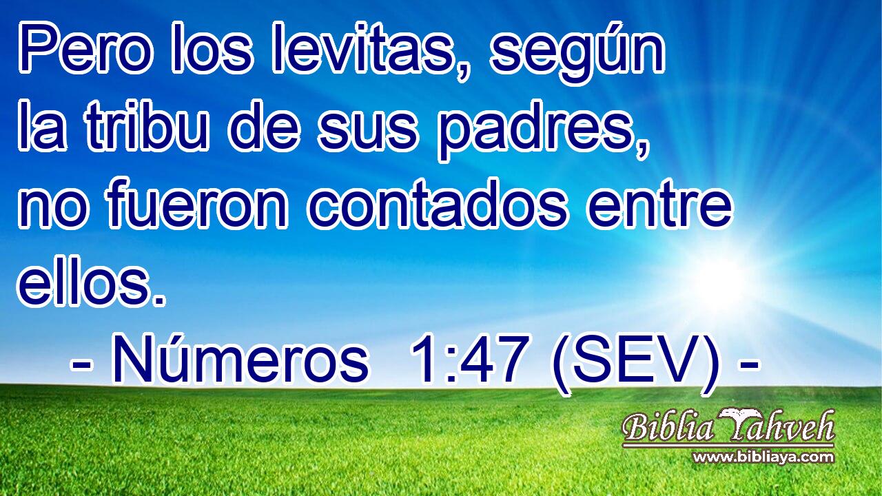 Pero los levitas, según la tribu de sus padres, no fueron contados entre ellos.