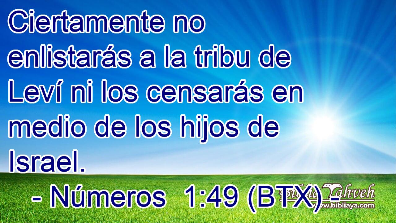Ciertamente no enlistarás a la tribu de Leví ni los censarás en medio de los hijos de Israel.