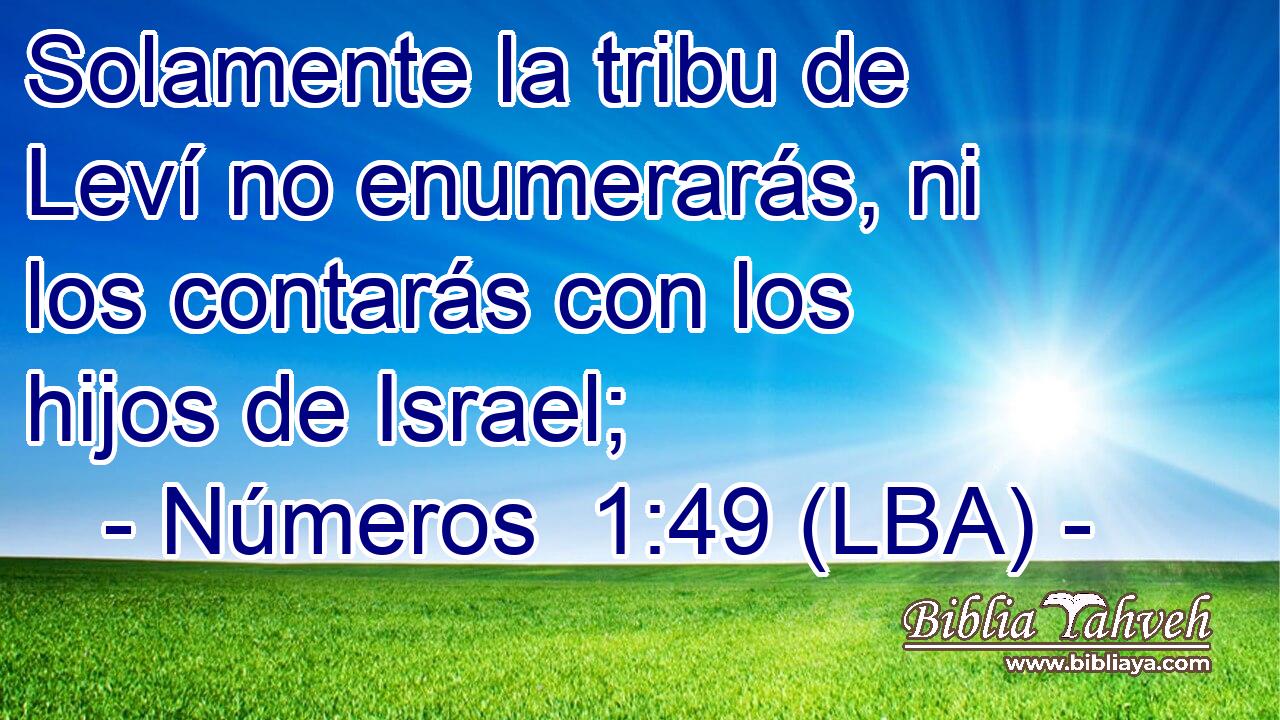 Solamente la tribu de Leví no enumerarás, ni los contarás con los hijos de Israel;