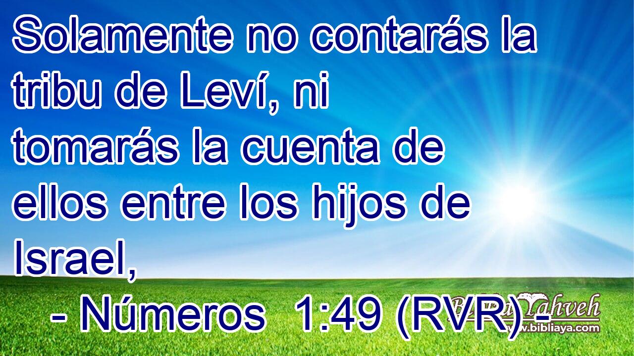 Solamente no contarás la tribu de Leví, ni tomarás la cuenta de ellos entre los hijos de Israel,