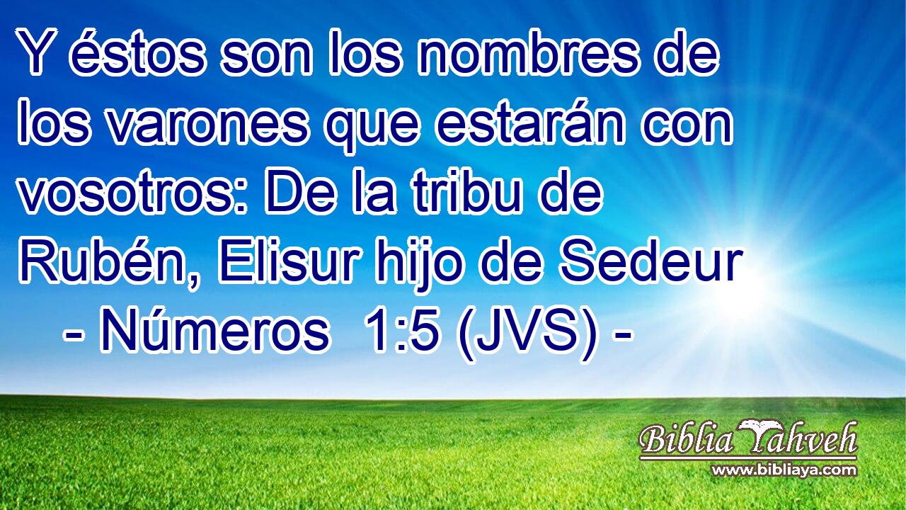 Y éstos son los nombres de los varones que estarán con vosotros: De la tribu de Rubén, Elisur hijo de Sedeur