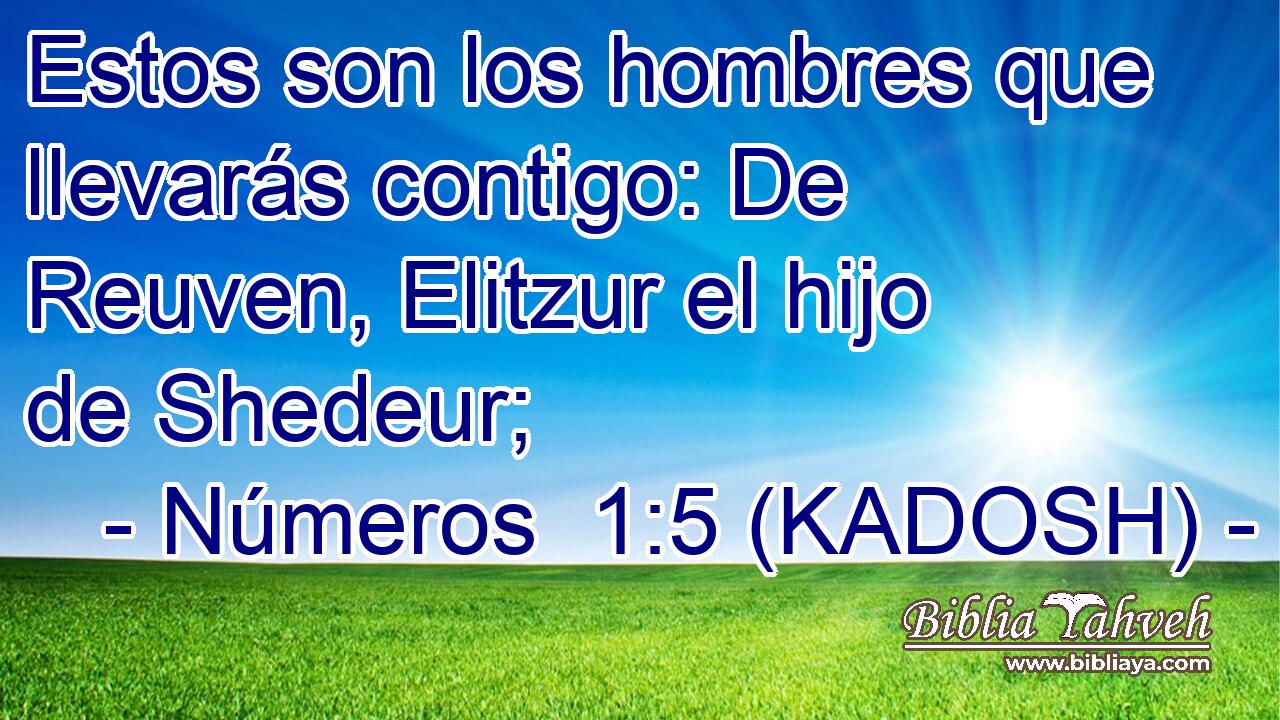  Estos son los hombres que llevarás contigo: De Reuven, Elitzur el hijo de Shedeur; 