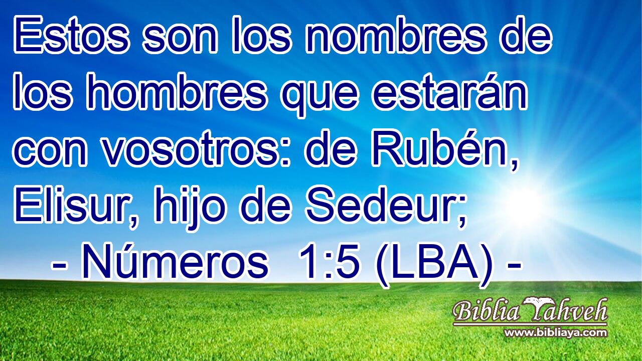 Estos son los nombres de los hombres que estarán con vosotros: de Rubén, Elisur, hijo de Sedeur;
