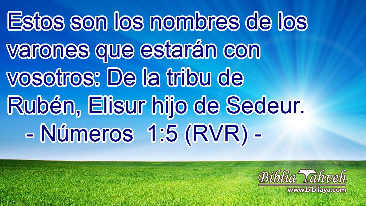 Estos son los nombres de los varones que estarán con vosotros: De la tribu de Rubén, Elisur hijo de Sedeur.