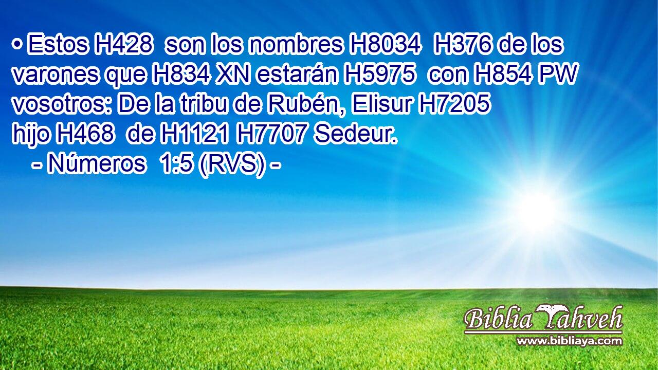 • Estos H428  son los nombres H8034  H376 de los varones que H834 XN estarán H5975  con H854 PW vosotros: De la tribu de Rubén, Elisur H7205  hijo H468  de H1121 H7707 Sedeur. 