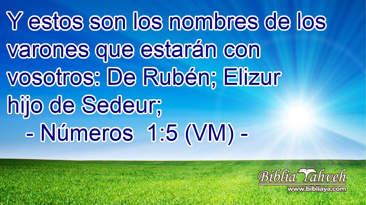  Y estos son los nombres de los varones que estarán con vosotros: De Rubén; Elizur hijo de Sedeur; 
