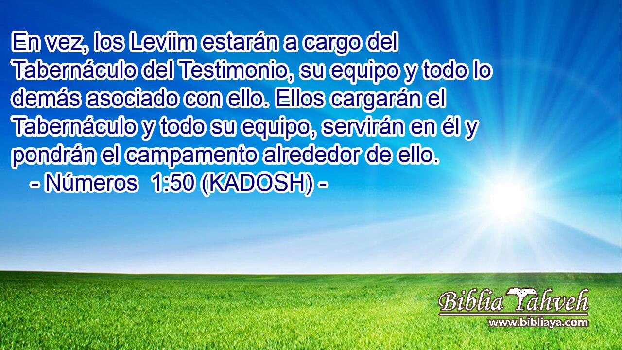  En vez, los Leviim estarán a cargo del Tabernáculo del Testimonio, su equipo y todo lo demás asociado con ello. Ellos cargarán el Tabernáculo y todo su equipo, servirán en él y pondrán el campamento alrededor de ello. 