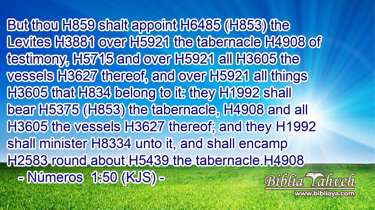 But thou H859 shalt appoint H6485 (H853) the Levites H3881 over H5921 the tabernacle H4908 of testimony, H5715 and over H5921 all H3605 the vessels H3627 thereof, and over H5921 all things H3605 that H834 belong to it: they H1992 shall bear H5375 (H853) the tabernacle, H4908 and all H3605 the vessels H3627 thereof; and they H1992 shall minister H8334 unto it, and shall encamp H2583 round about H5439 the tabernacle.H4908