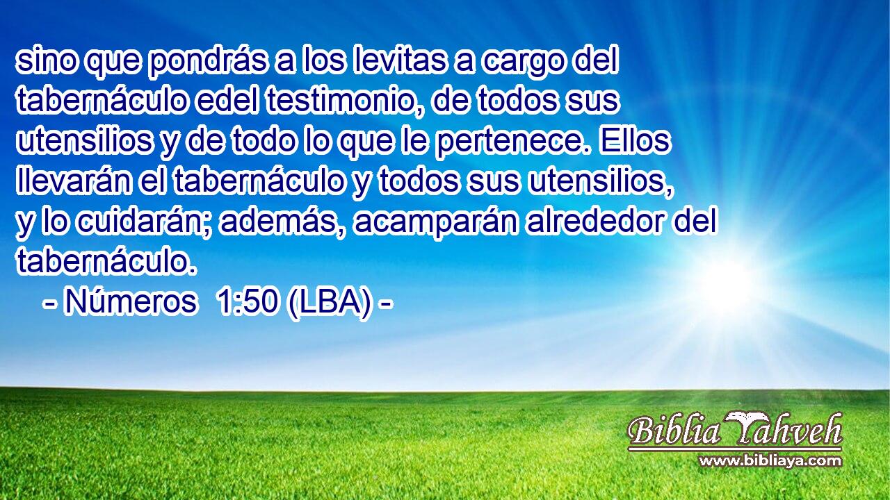 sino que pondrás a los levitas a cargo del tabernáculo edel testimonio, de todos sus utensilios y de todo lo que le pertenece. Ellos llevarán el tabernáculo y todos sus utensilios, y lo cuidarán; además, acamparán alrededor del tabernáculo.